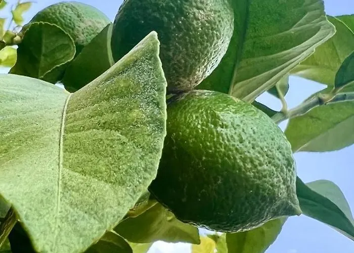 Cozy Two Bed Apartment. *