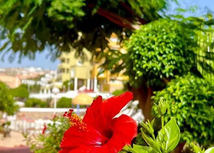 Cozy Two Bed Apartment. Apartmán Costa Adeje (Tenerife)