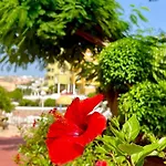 Cozy Two Bed Apartment. Appartement Costa Adeje (Tenerife)