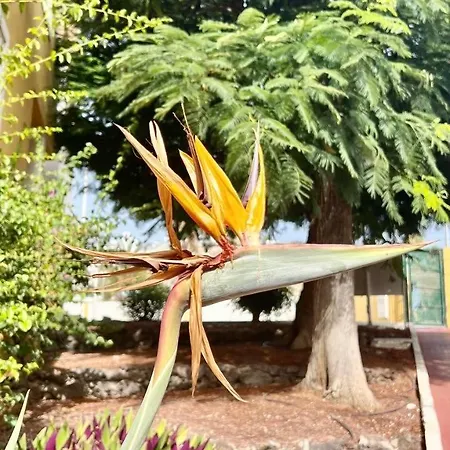 Cozy Two Bed Apartment. 아데제